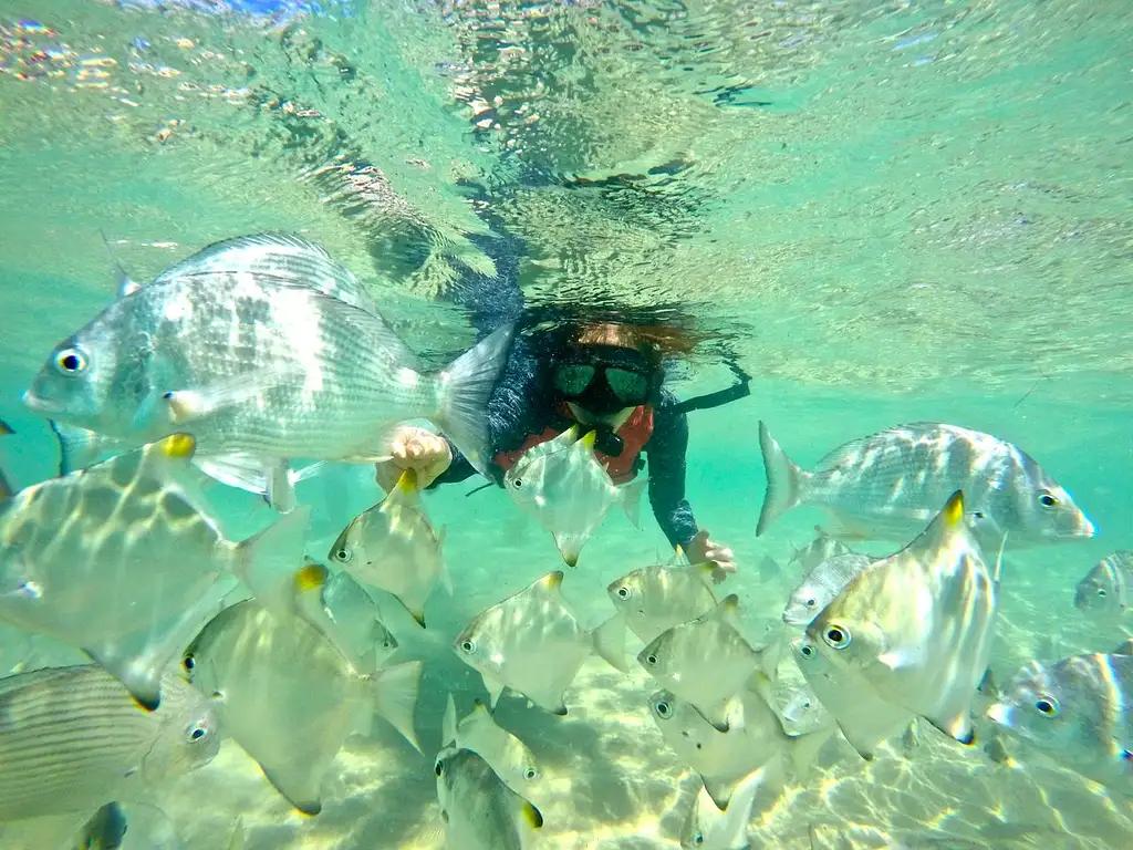 Gold Coast Kayaking & Snorkelling tour