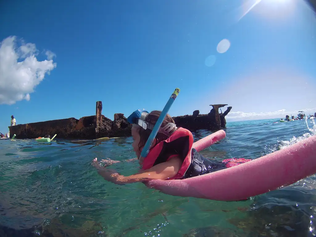 Moreton Island Dolphin & Tangalooma Wrecks Day Tour