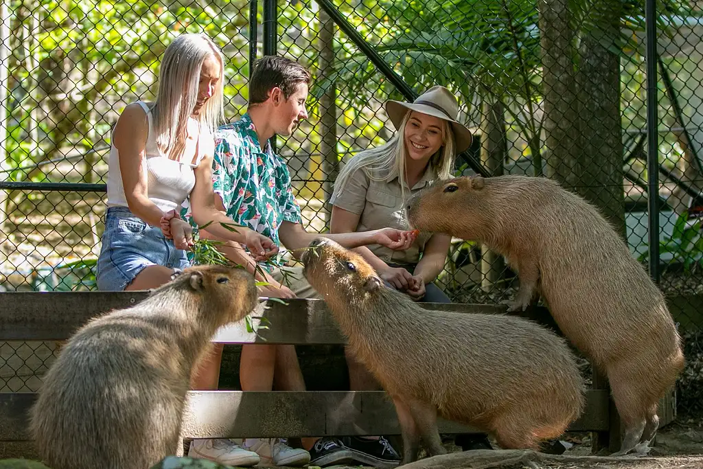 Currumbin Wildlife Sanctuary