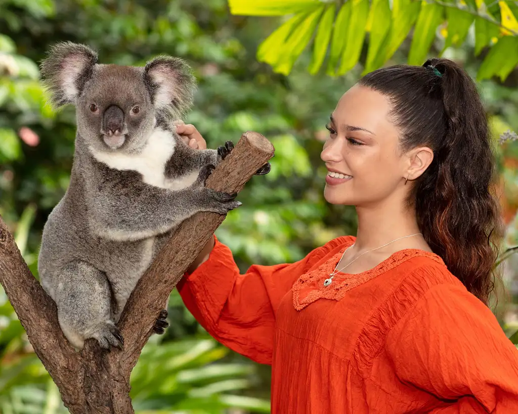 Kuranda Wildlife Experience Package