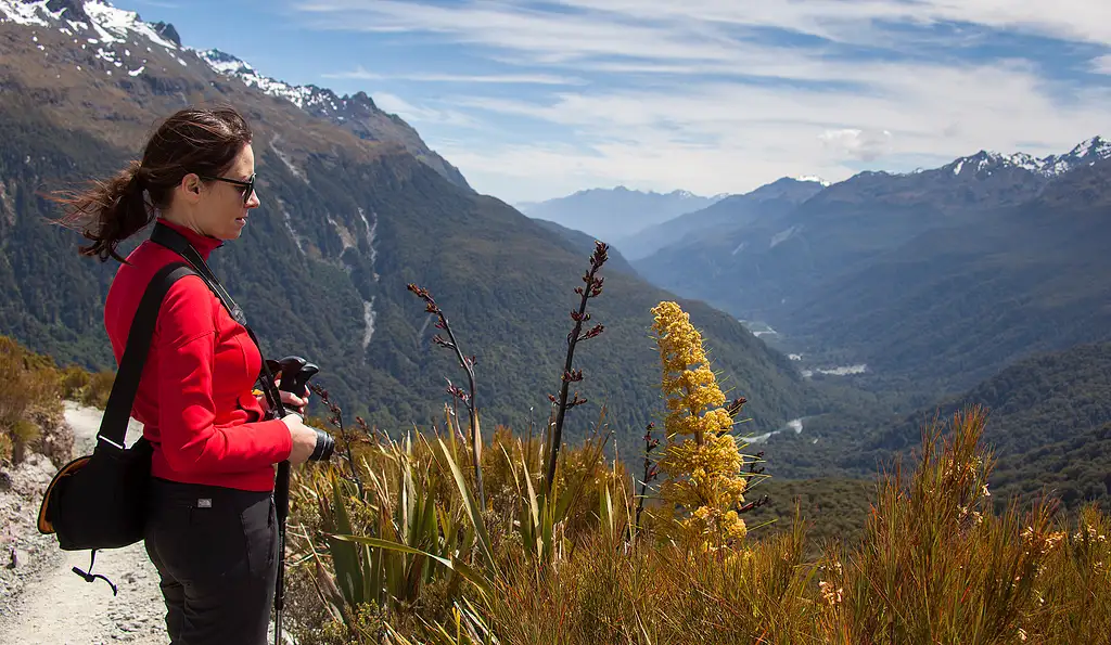 Routeburn Track Guided Walk from Te Anau