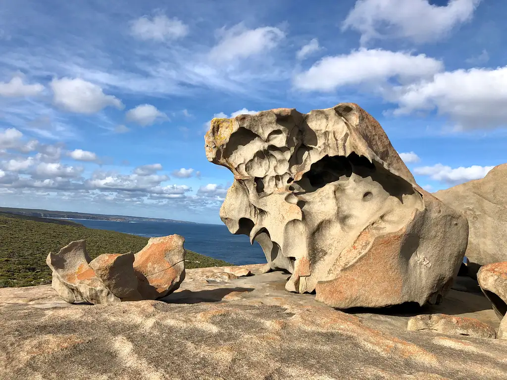 Flinders Chase and West End Wildlife 4WD Tour - Kangaroo Island