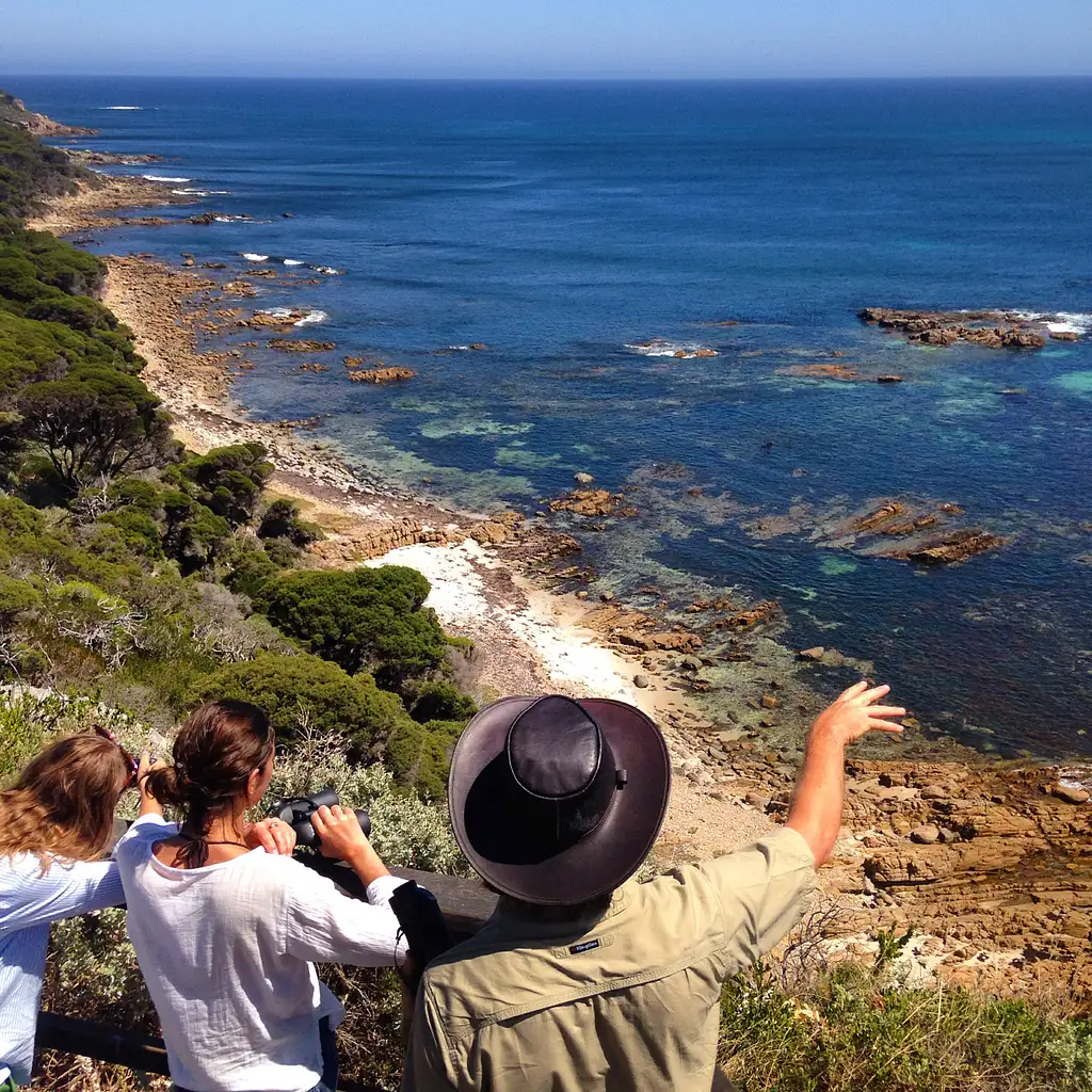 Coastal & Wildlife Eco Tour - Busselton