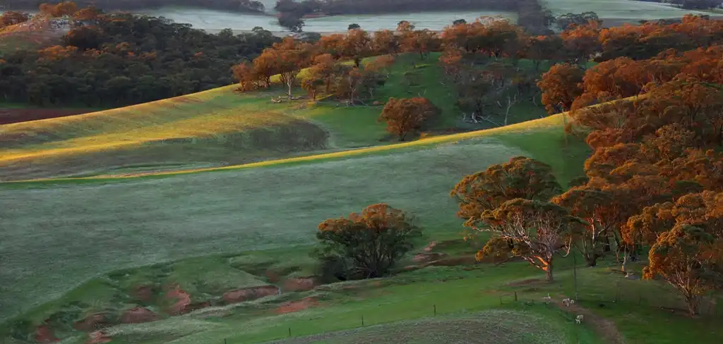 Sunrise Hot Air Balloon Flight Over Barossa Valley