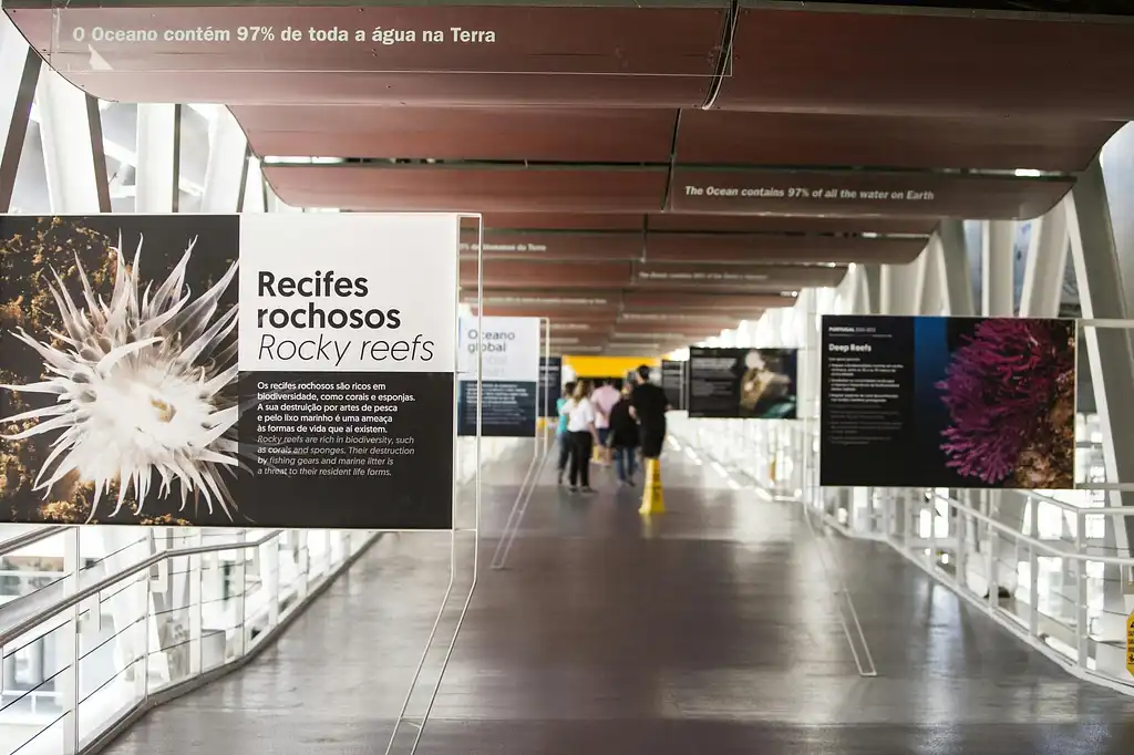 Nat Geo Day Tour: Oceanario Odyssey, A Behind-the-Scenes Experience