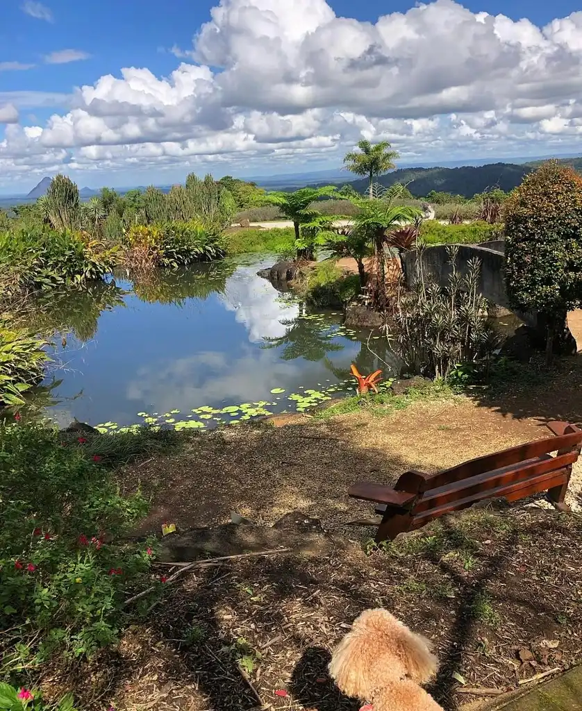 Maleny Botanic Gardens & Bird World Entry