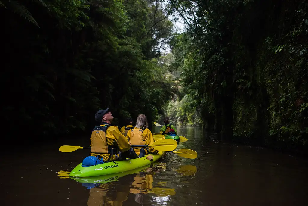 Lake Karapiro Twilight Kayak Glow Worm Tour