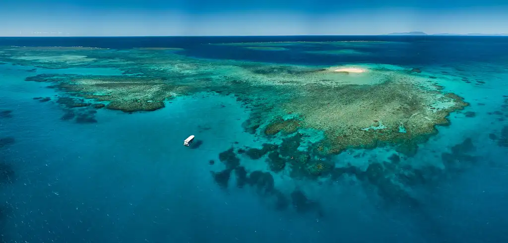 Great Barrier Reef Snorkelling Half Day Tour  | Mission Beach