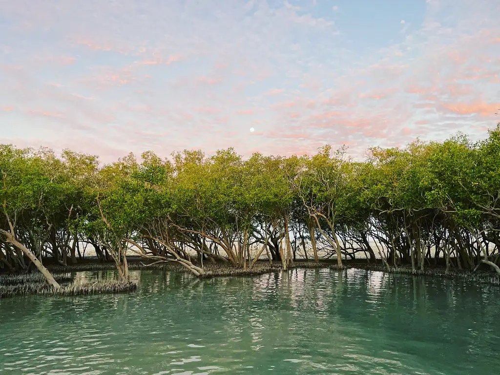 Broome Mangrove Discovery Experience