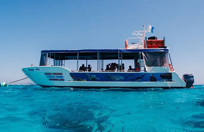 Ningaloo Reef Turtle Encounter With Glass Bottom Boat Cruise | Departing Coral Bay