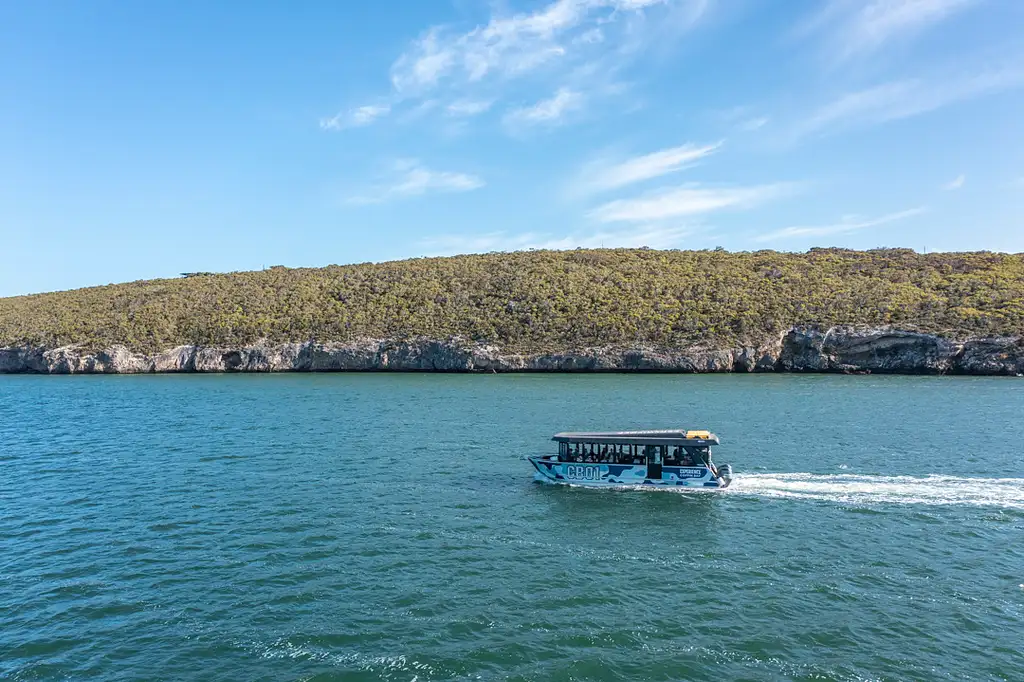 Coffin Bay Short & Sweet Oyster Farm Tour