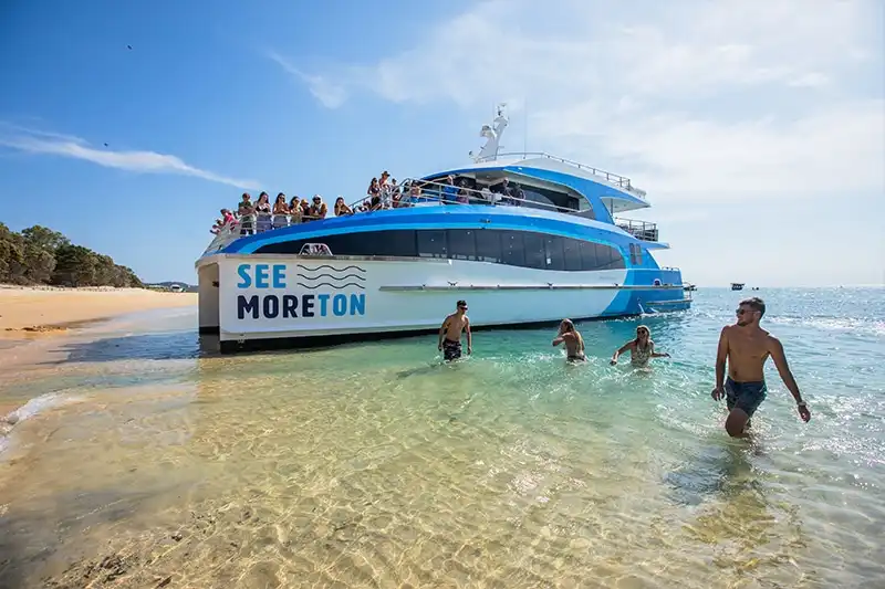 Moreton Island Dolphin & Tangalooma Wrecks Day Tour