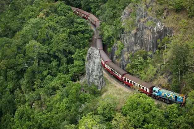 Rainforestation Nature Park & Kuranda Railway Tour - Cairns