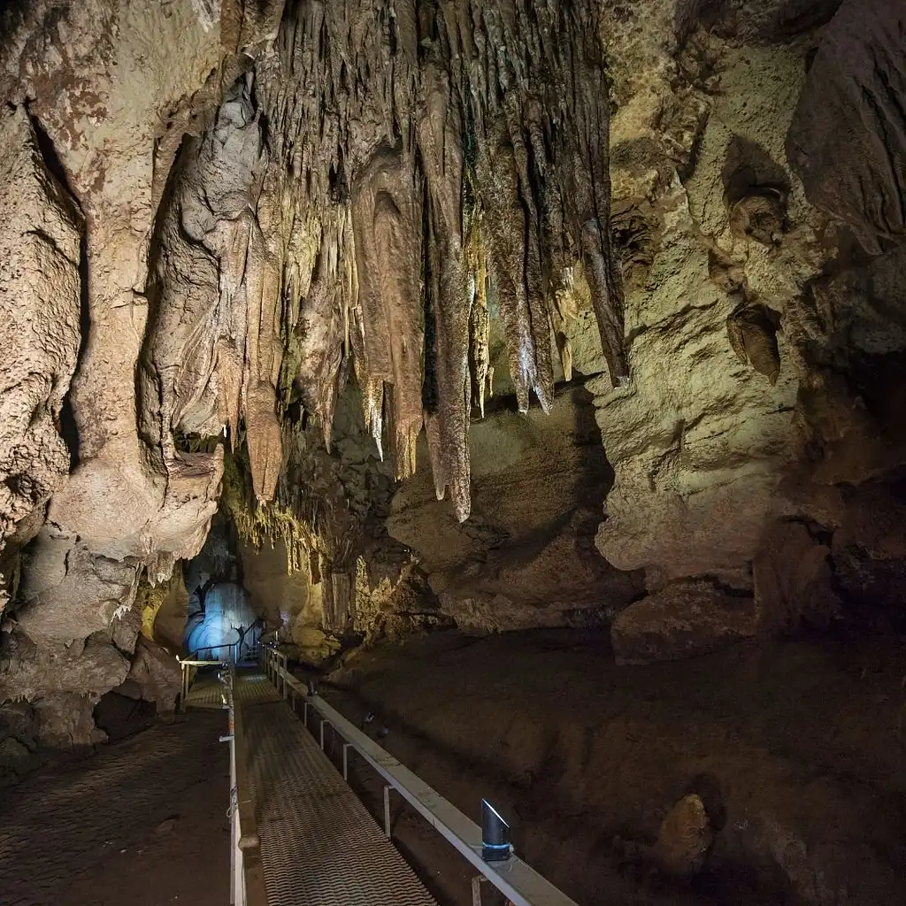 Cutta Cutta Caves Guided Tour