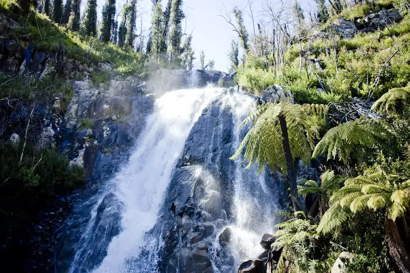 Lake Mountain Snow & Waterfalls Day Trip from Melbourne