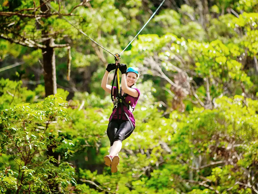 Canyon Flyer Zipline Tour Mount Tamborine