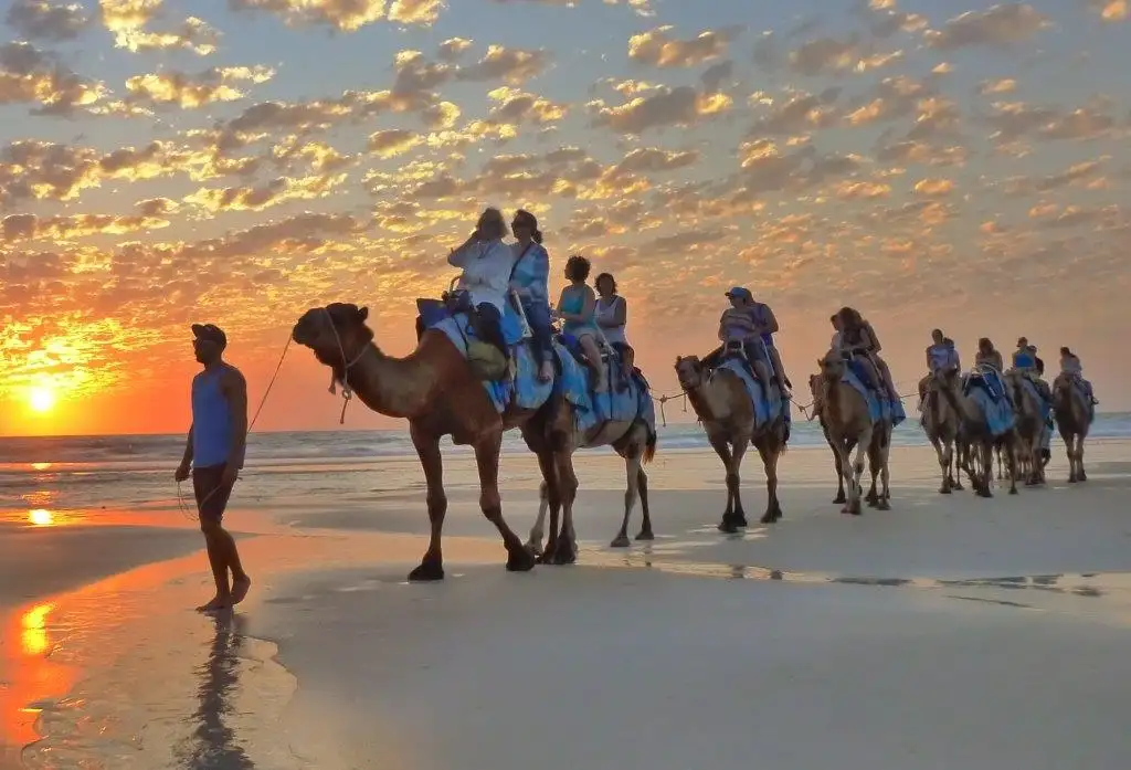 Broome Sunset Camel Tour