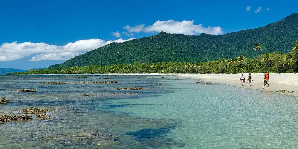 Cape Tribulation Day Tour With Mossman Gorge and Daintree Rainforest