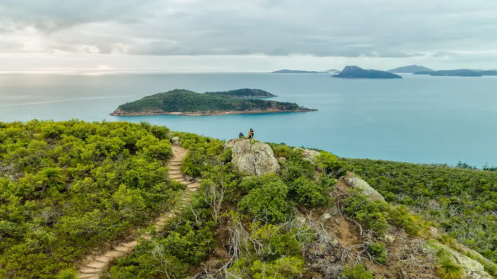 Whitehaven Beach Half Day Cruise | From Hamilton Island