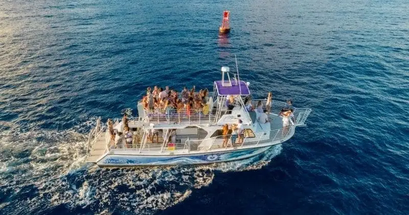 Wild Humpback Whales Tour with Flower Ceremony | Oahu