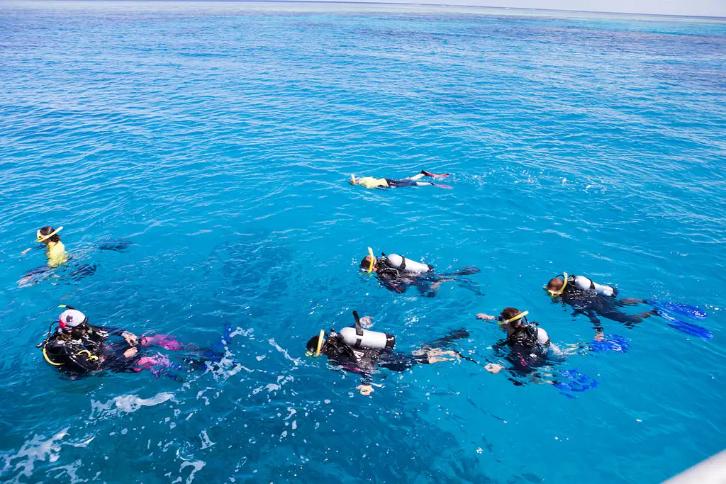 3 Day Great Barrier Reef Liveaboard Package | Snorkel or Dive