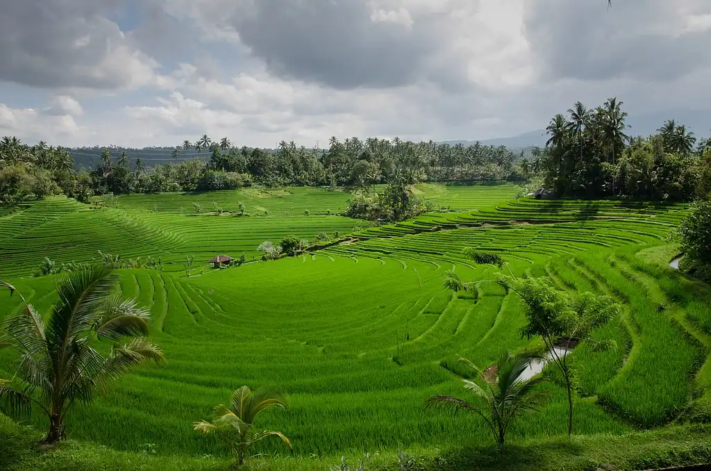 Bali Private Tour with Driver - Choose your Itinerary!