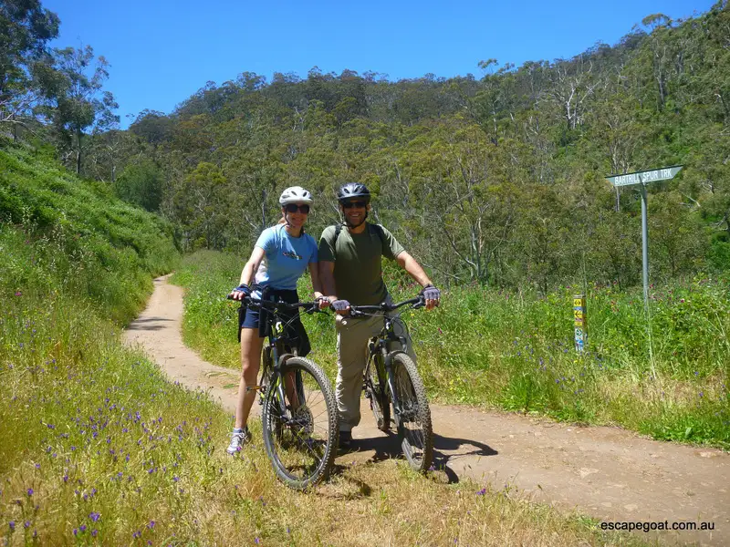 Mount Lofty Bike Tour