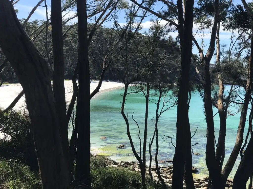 Jervis Bay with Dolphin Cruise | Day Tour from Sydney