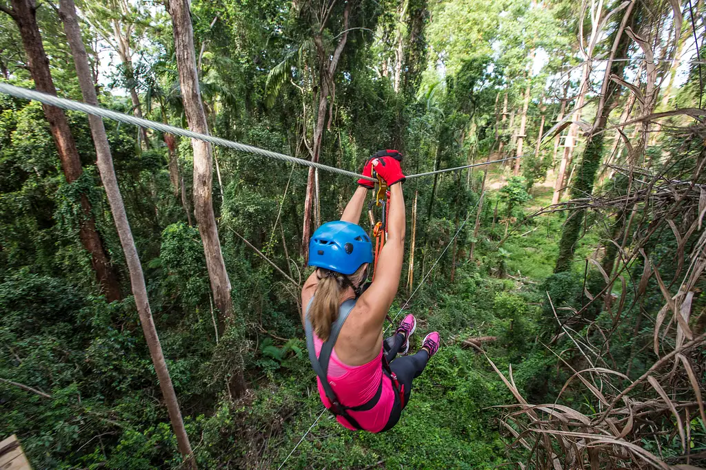 Treetop Challenge High Ropes Course Sunshine Coast