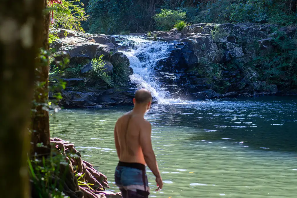 The Sunshine Coast Hinterland Adventure