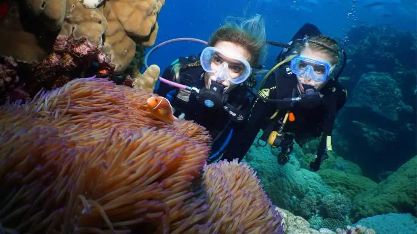 Silversonic Great Barrier Reef Intro Dive from Port Douglas