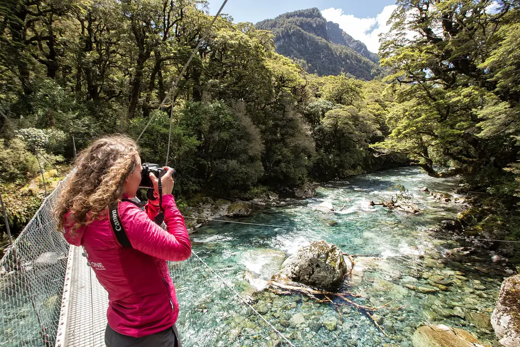 Milford Sound Coach, Cruise & Walk from Te Anau