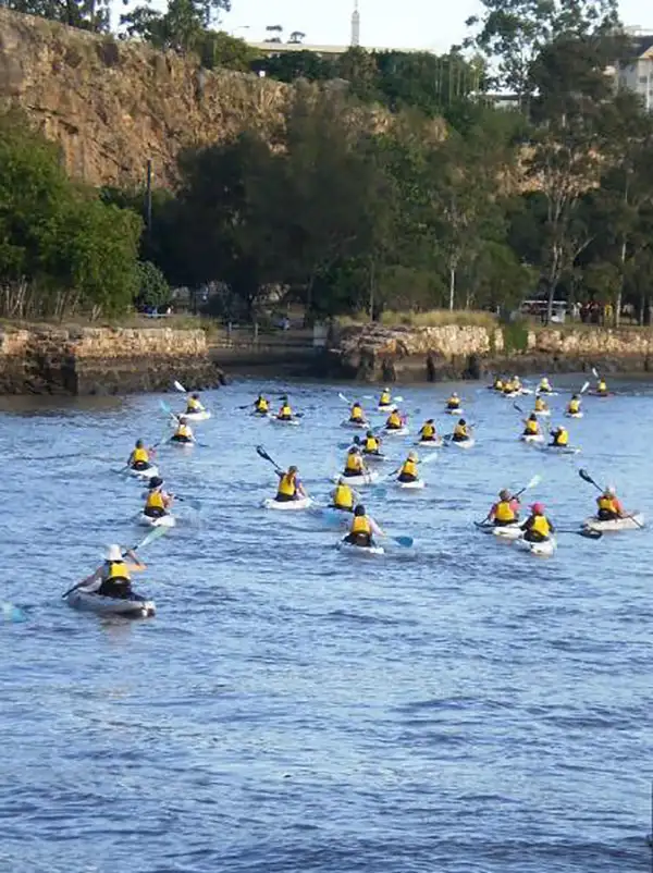 Brisbane City Day Kayak Adventure