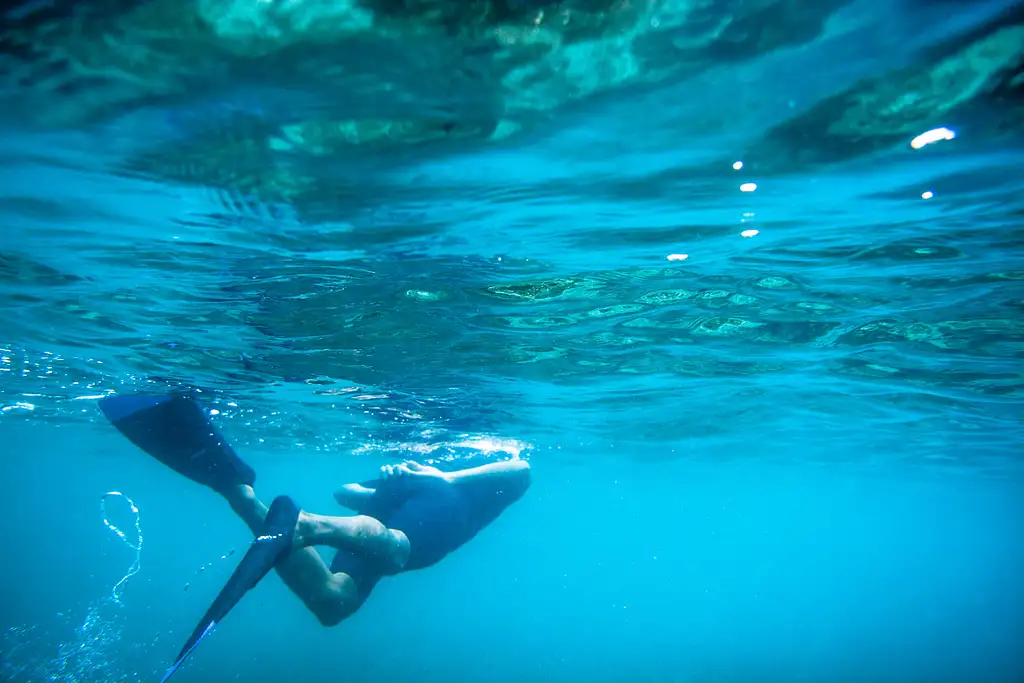 Guided Snorkel Tour - Santa Maria & Chileno Bays