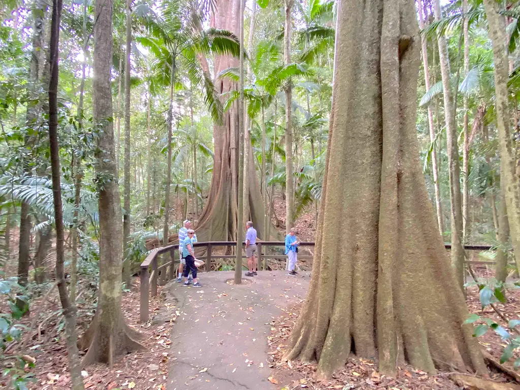 Mary Valley Tour | Sunshine Coast