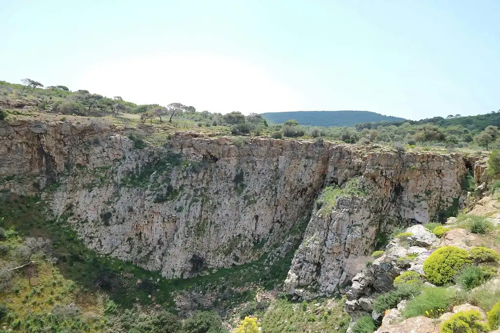 Athens Escape Private Safari Tour In Parnitha Mountain Park