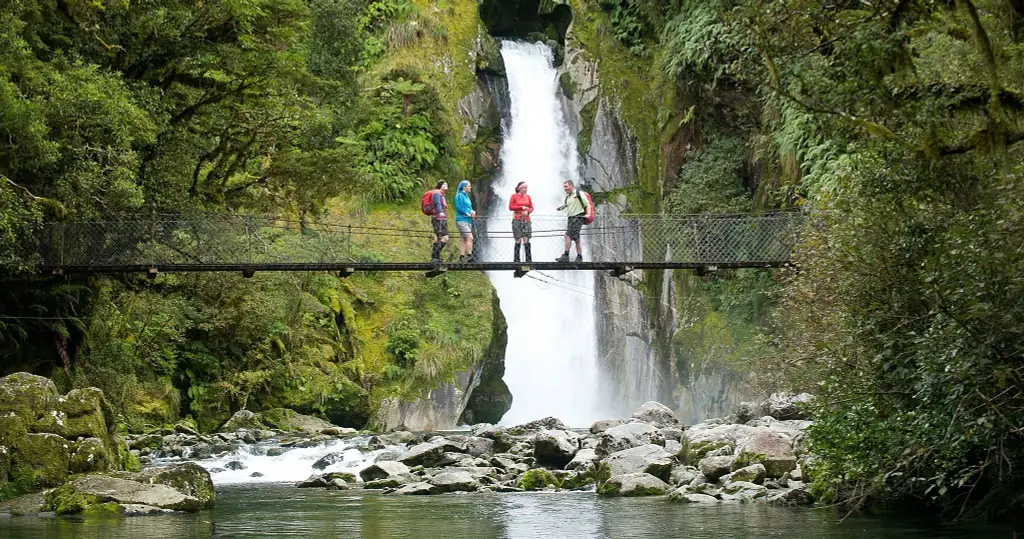 Milford Sound Cruise & Milford Track Walk