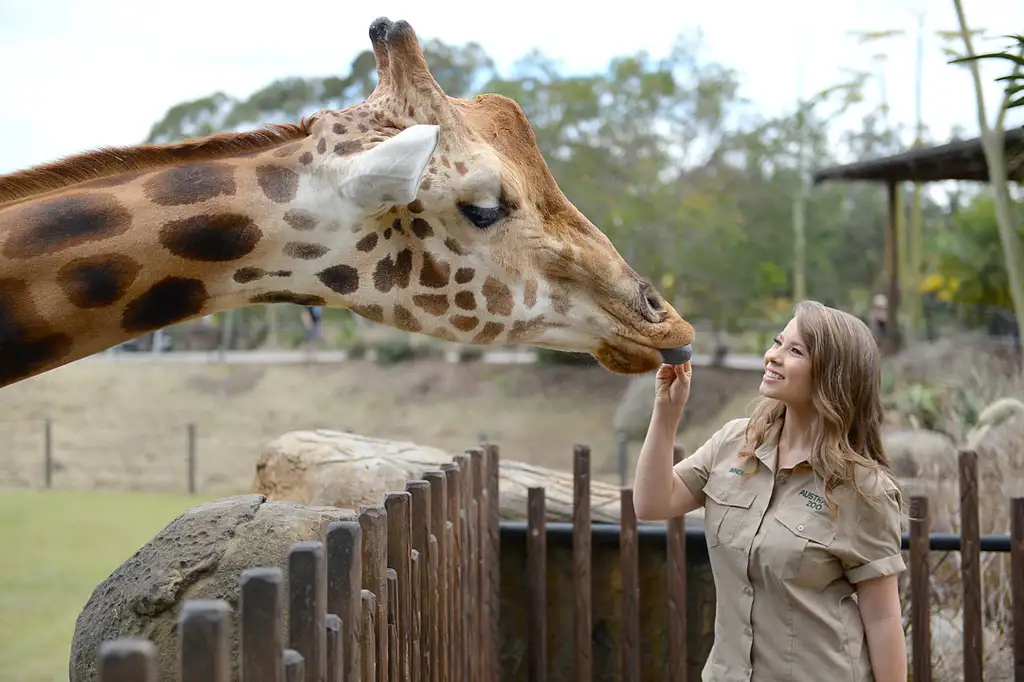 Australia Zoo Transfer & Entry