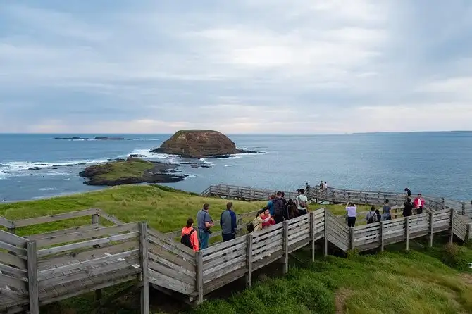 Phillip Island Wildlife & Brighton Beach Boxes Bus Tour