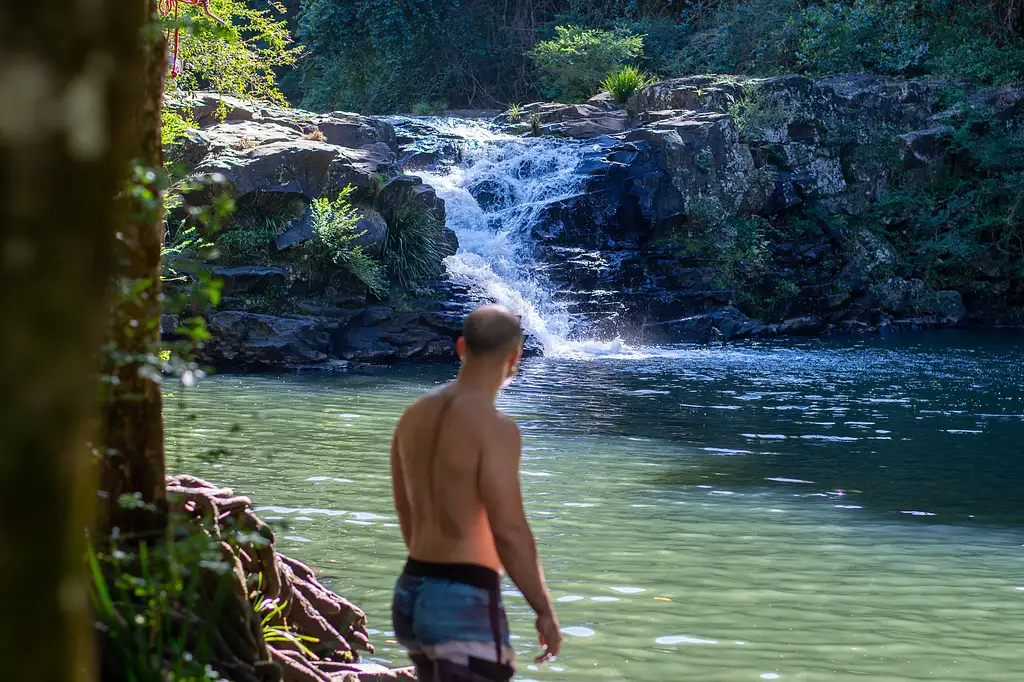 The Sunshine Coast Hinterland Adventure