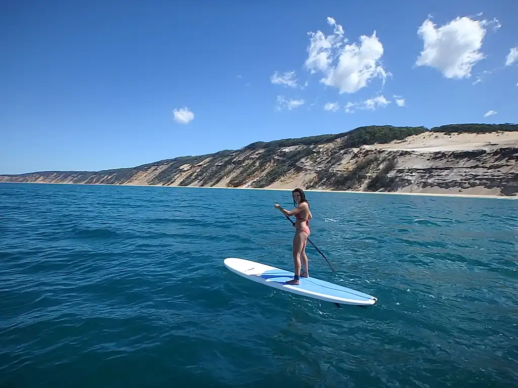 Stand Up Paddle Wildlife Tour & Beach 4x4 Day Trip- Noosa