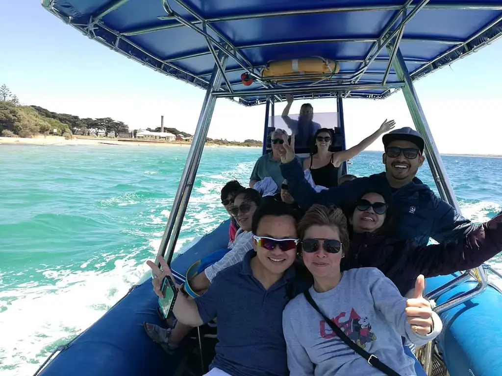 Dolphin and Seal Watching Eco Boat Tour - Mornington Peninsula