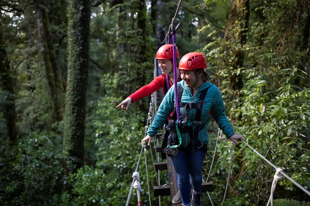 The Original Canopy Tour