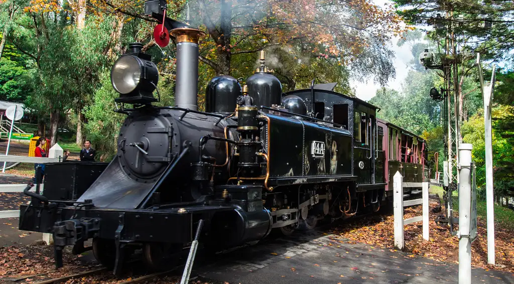 Puffing Billy & Healesville Sanctuary Scenic Bus Tour