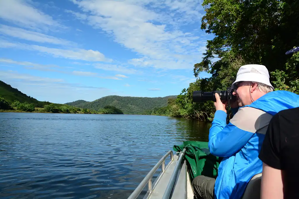 Daintree Rainforest Night Tour | Afternoon Departure