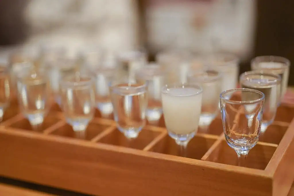 Kyoto Sake Brewery and Tasting Tour | Walking Tour