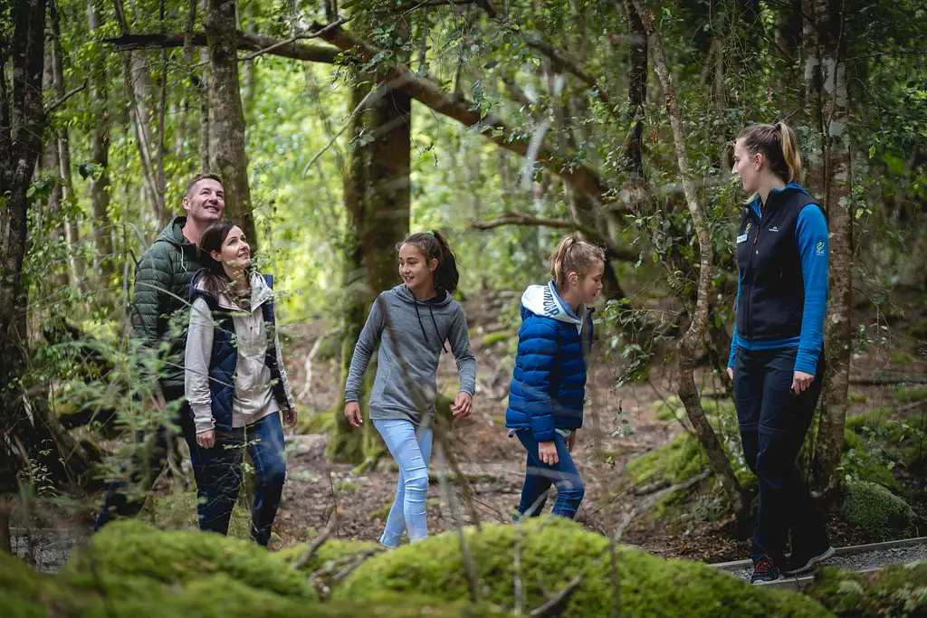 Te Anau Glowworm Cave Tour