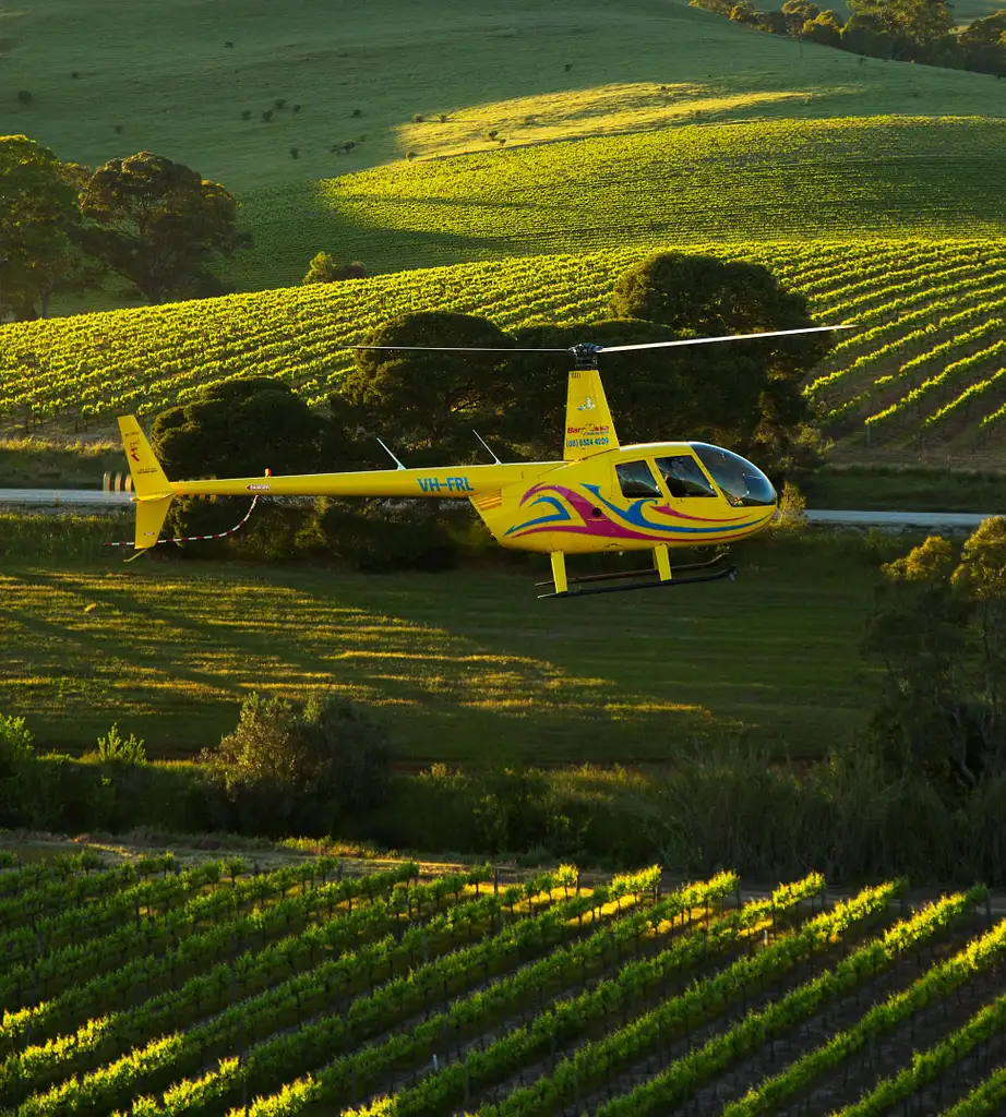 Southern Barossa - 10 Minute Scenic Flight