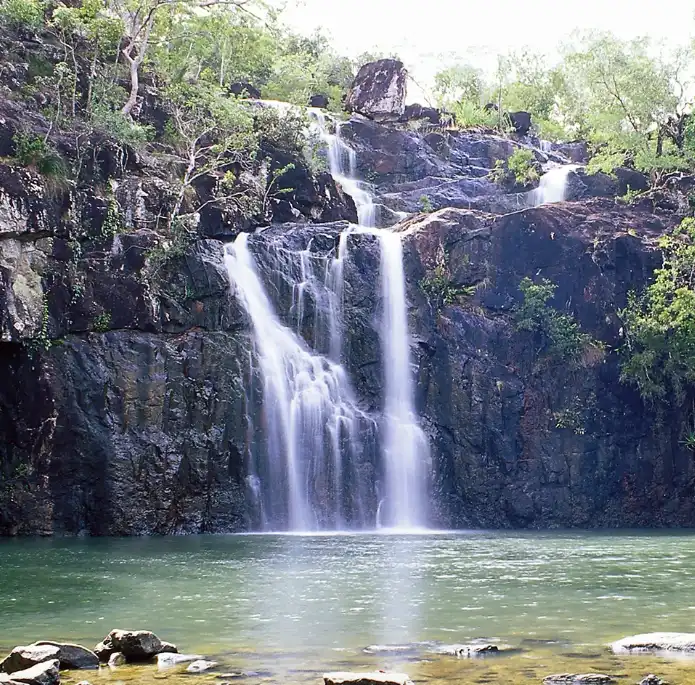 Cedar Creek Express - Airlie Beach