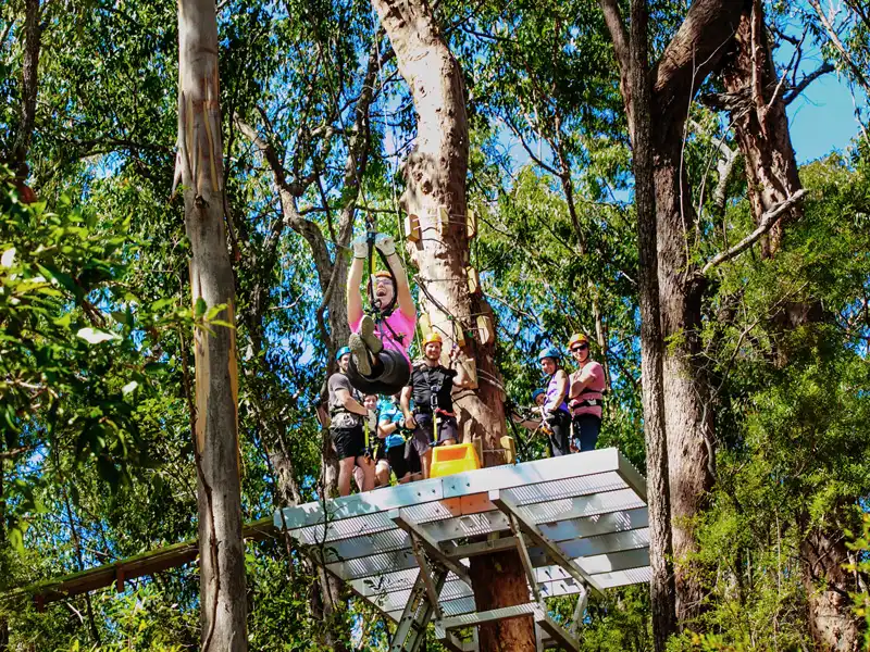 Canyon Flyer Zipline Tour Mount Tamborine